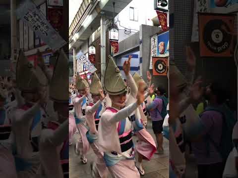 2024.8.25(日) 天神天満阿波おどり「大阪天水連」天神橋筋商店街 2024.8.25(日) 天神天満阿波おどり「大阪天水連」天神橋筋商店街