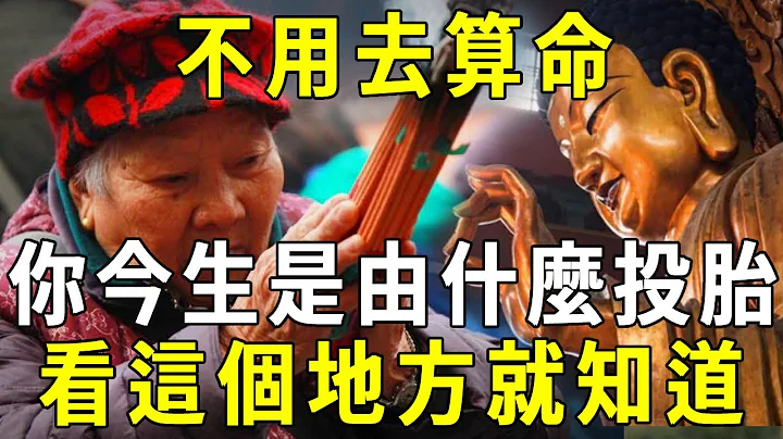 不用去算命，只要看身上一個地方，就知道你是什麼轉世投胎！實在太不可思議了【曉書說】 - 天天要聞