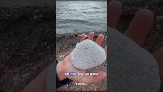 Pumice stone #science #sciencefacts