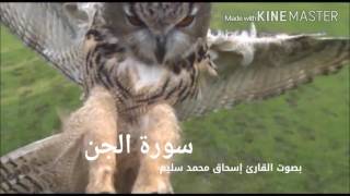 سورة الجن بصوت القارئ إسحاق محمدسليم