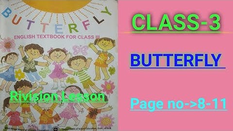 class 3 butterfly rivision lesson page no -8-11