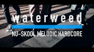 waterweed - July 31 (Music Video) chords