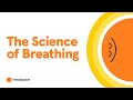 How does breathing impact the brain learn from a neuroscientist