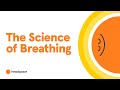 Understanding Breathing and Its Impact