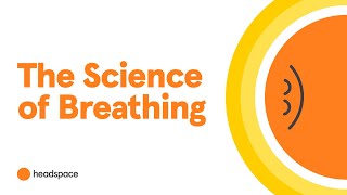 How Does Breathing Impact The Brain? Learn From A Neuroscientist