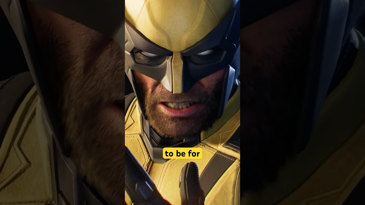 Ожидается подробный анализ текущей ситуации с Росомахой.