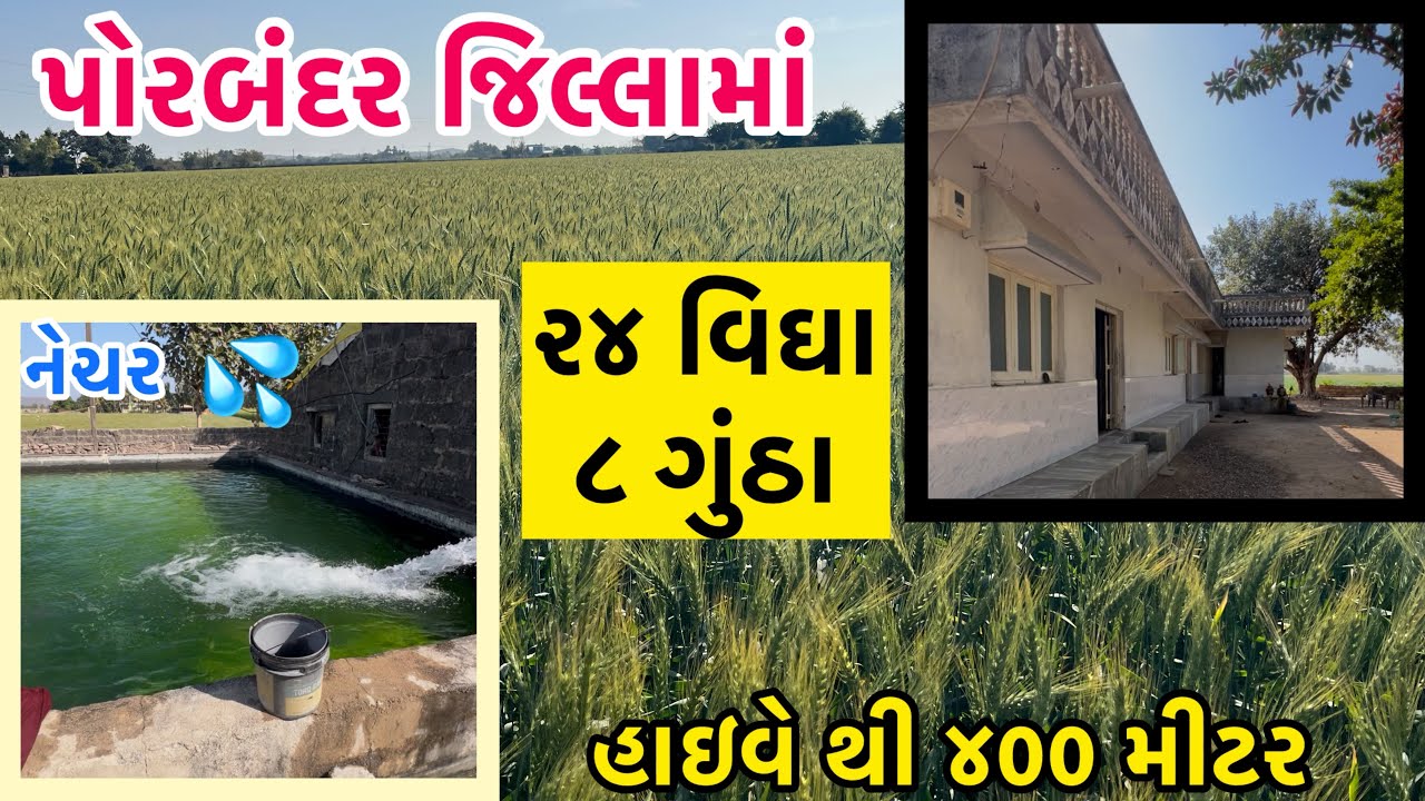 પોરબંદર જિલ્લા મા ૨૪ વિઘા ૮ ગુંઠા 📞9879431244 /
