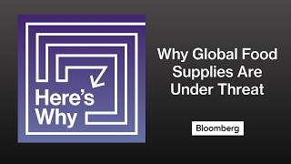 Here's Why Global Food Supplies Are Under Threat | Here's Why