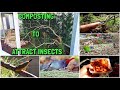 Live Insects for the Birds | Composting in the FINCH AVIARY