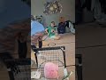 Gross top corner by me #kneehockey #shorts #hockey #ew