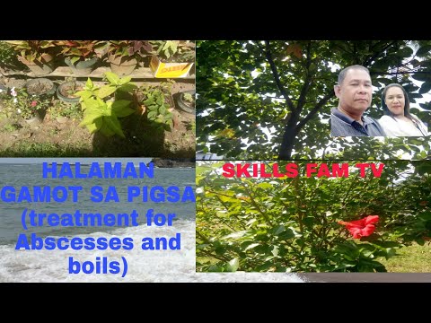 Video: Herb Para Sa Pigsa. Bahagi 1