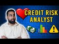 Credit risk analyst  will you really enjoy it