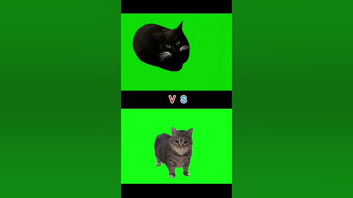 Maxwell cat vs oiiaoiia cat #cat #catmemes #meme #fyp #absurd #memes #funny