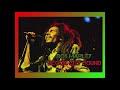 Bob marley  reggae music