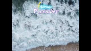 Story wa welcome Desember || story cinematic 30 detik || cinematic video