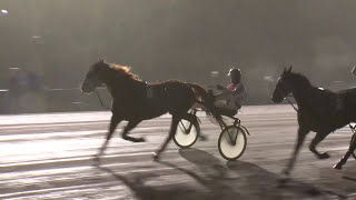 Vidéo de la course PMU PRIX INTERNATIONAL TROT SERVICES