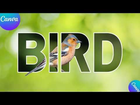 EASY 3D Pop-Out Text Effect in Canva! | Canva Typography Hacks 🔥