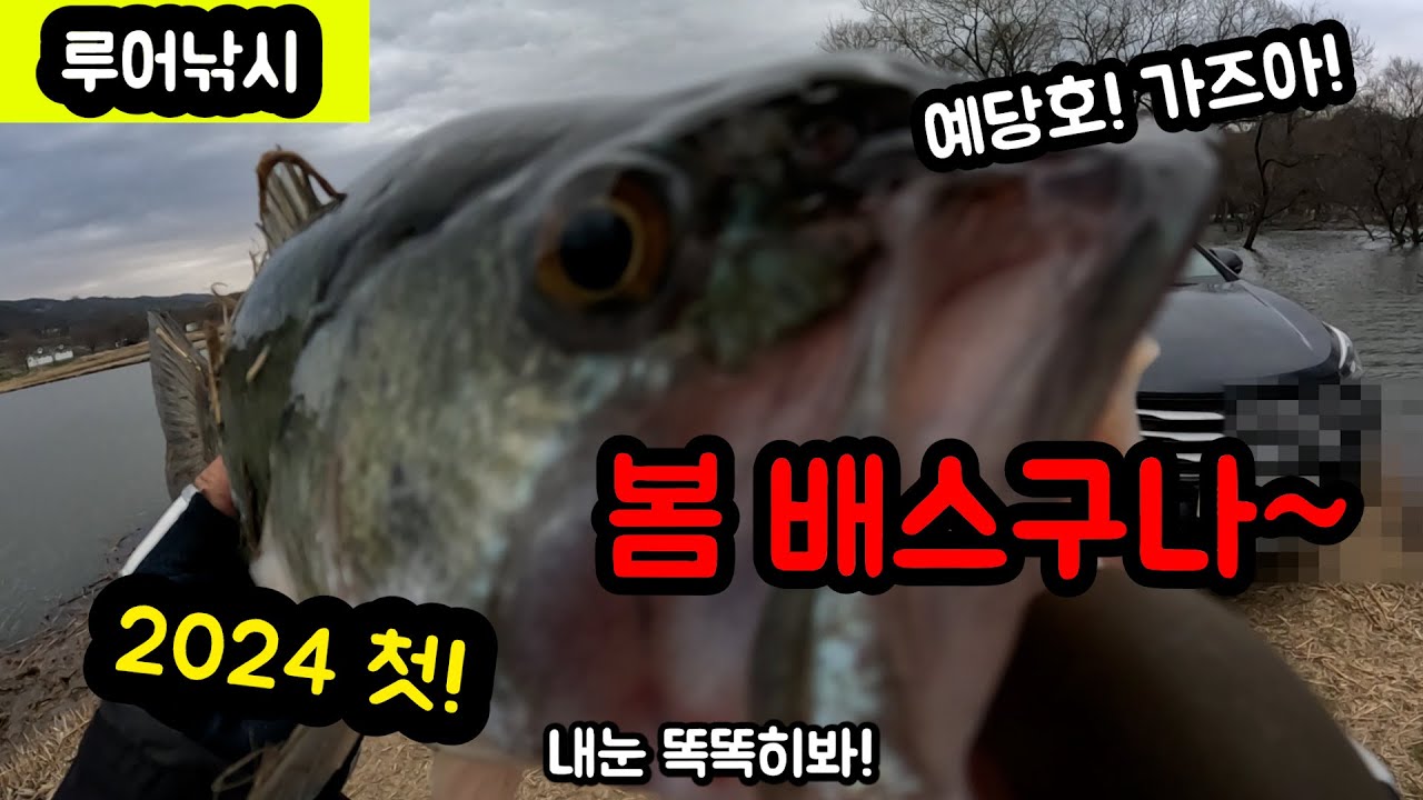 예당지!! 터지는구나~!!! 얼른 가보세요!!낚시 초보가 가도 10마리!!!(4K영상 지원) #배스 #예당저수지 #봄낚시 #루어낚시 #봄배스 #대회장 #4k #예당금어기 #금어기