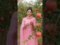 इतना सुंदर अनार का बागीचा 😍🍎 |  #shorts#youtubeshorts #sarnaviral Shorts