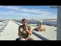 Nuevas retribuciones para la solar y prioridad de almacenamiento | RD 917/2025