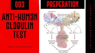 AHG Preparation | Laboratory Medicine | Prof. Kareem Ainsley -003