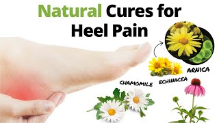 Best remedy for heel pain? 8 Home Remedies