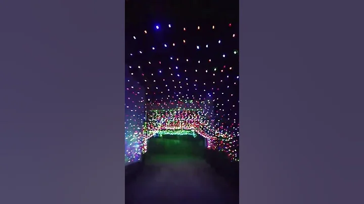 Wedding entry full light decoration #shorts #wedding #weddinglight #youtubeshorts #ytshorts