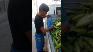 İnsanlık Ölmemiş