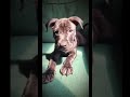 QUEEN KARMA рџ QUEEN KARMA рџ