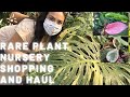 Rare Plants Nursery Shopping and Haul / A lot of Rare houseplant for sale / Huge Thai Constellation