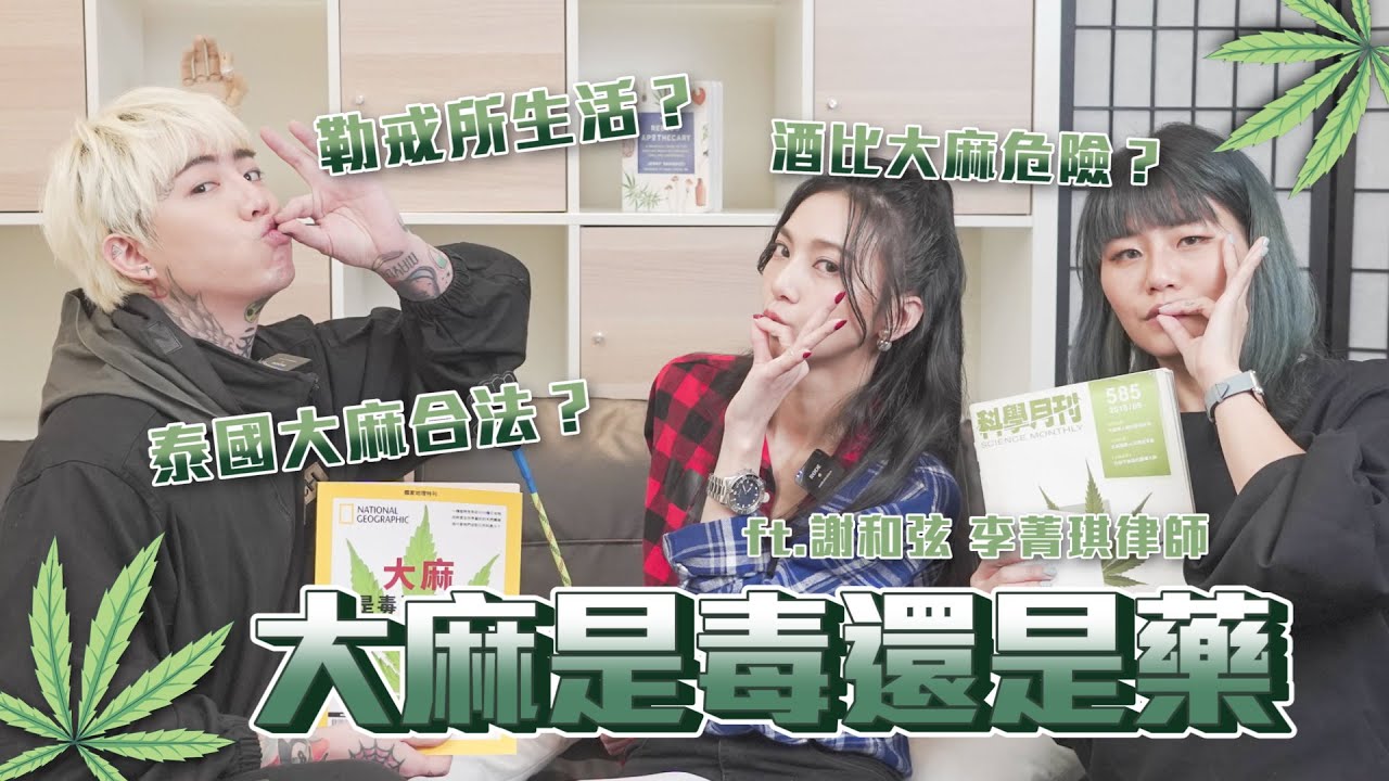 與妮想聊｜大麻是毒還是藥？醫療功效？勒戒有用嗎？ft. 謝和弦 R-chord  & 李菁琪律師