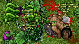 HOW STRONG WAS THE FIRST ED TO REACH LVL 200 (Antica 2006 7.72)