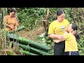 A single mother goes to harvest seaweed to sell, earning money to buy jellyfish for her daughter.