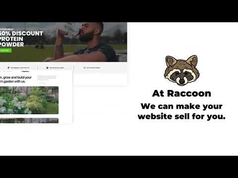 Raccoon Web — web agency that actually gives a damn