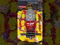 Jay Maa Tarani #ytshort #trendingshort #viralshort