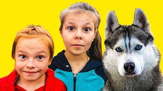 ХАСКИ НАШЛИ СБЕЖАВШИХ ДЕТЕЙ!!! (Хаски Бандит) Говорящая собака DOGVLOG