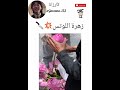 زهرة اللوتس Garzana 123 Bts Kok