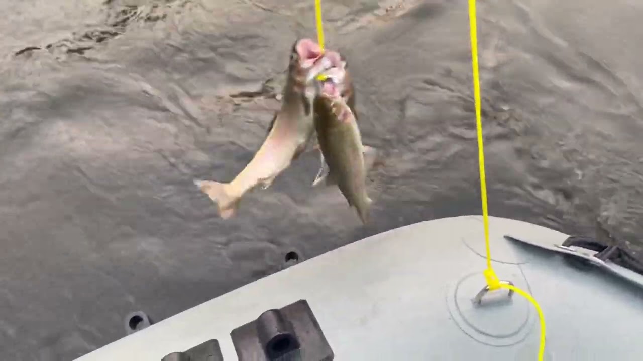 Croton pond behind the dam