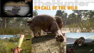 Bowhunting & Diamonds on Cuatro Colinas |theHunter: Call Of The Wild