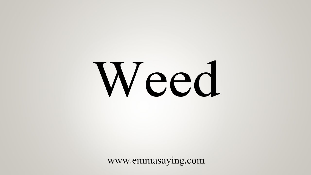How To Say Weed YouTube How To Say Weed YouTube