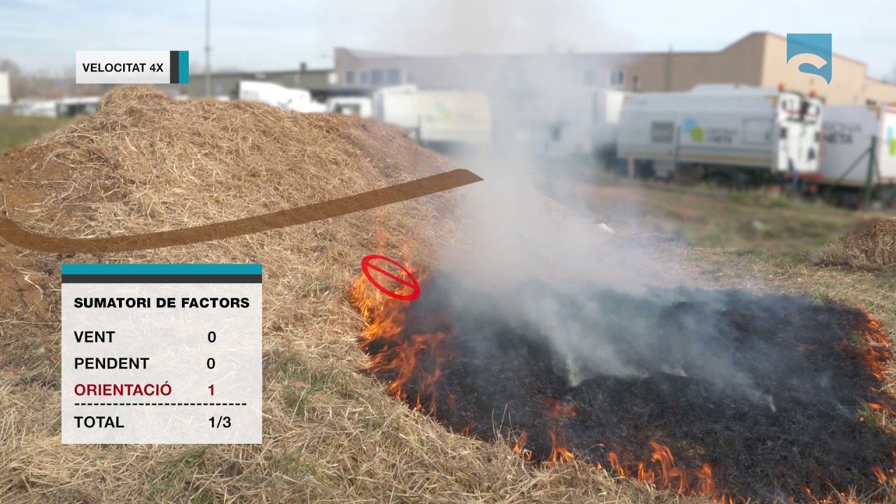 Taller de palla - Lògica de camp CPS