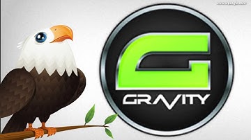 Gravity Forms for Wordpress Walk Through and Review