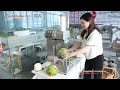 Food Processing Solutions: Machines for Fruits, Vegetables &amp; Meat | Shengtian Machinery