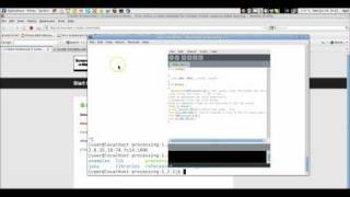 processing (a java based application) hanging on Fedora 14 bug report Wealth