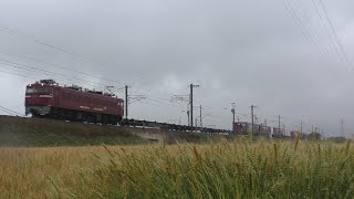 【JR貨物】5075レ ED76 -021 BIG55ECOLINER積載