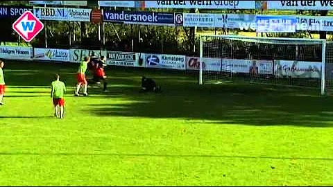 Samenvatting ARC - IJsselmeervogels