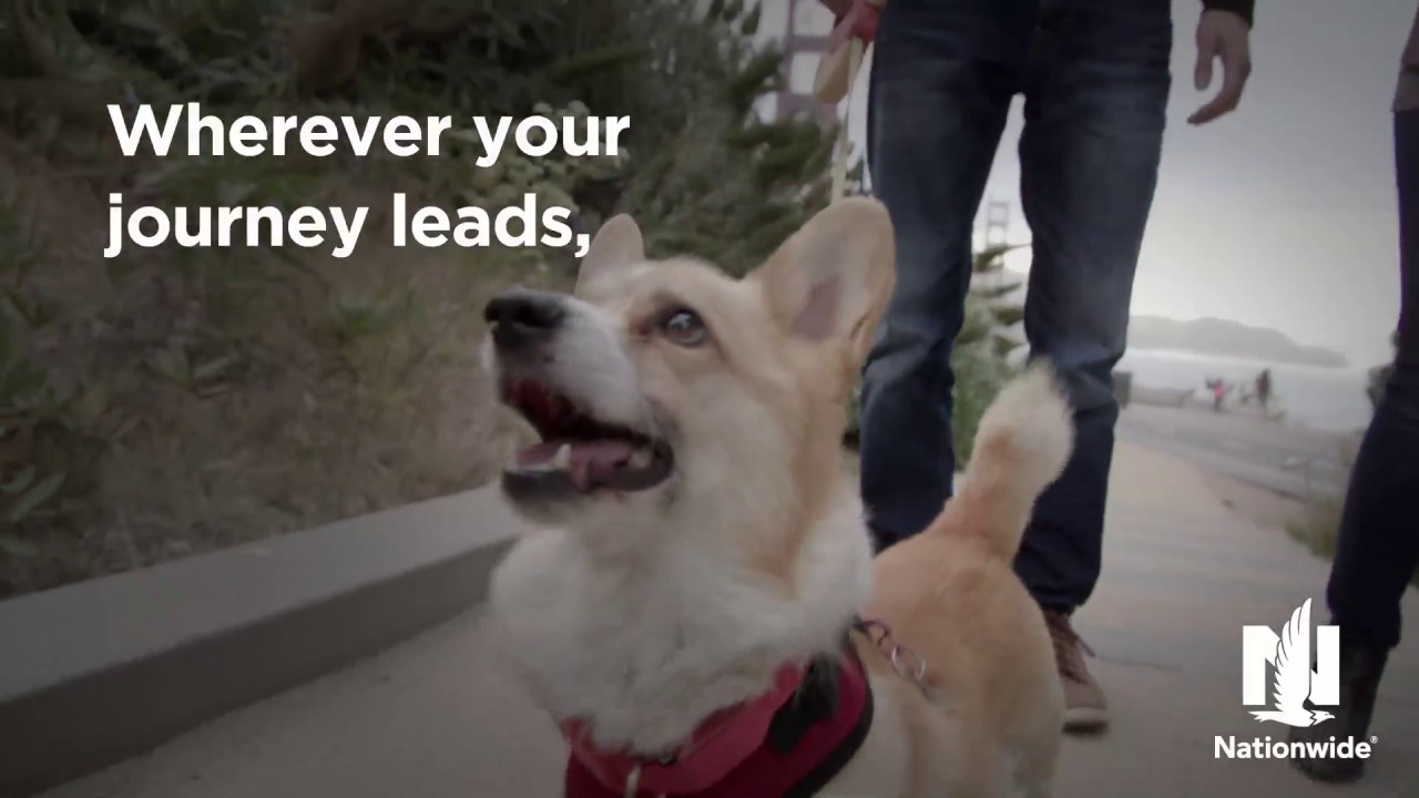 Along for the Journey Video - Nationwide Pet Insurance is America's #1 pet insurance provider. Get a Free Quote Today and Find Out How Affordable Pet Insurance Can Be!