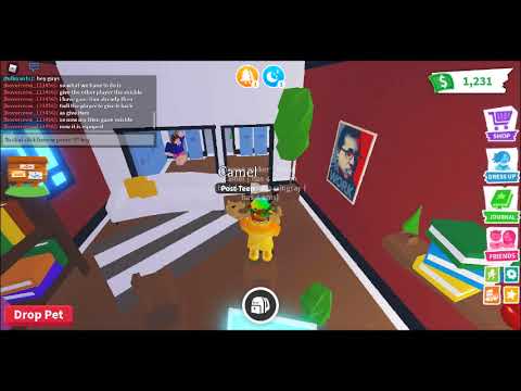How to equip vechiles in buildings(adopt me)