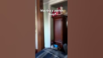 Perfect loop? #fypyoutube #ytshorts #shorts