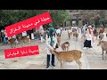 روحت لمدينة في اليابان مدينة البشر و الغزلان مدينة نارا في اليابان